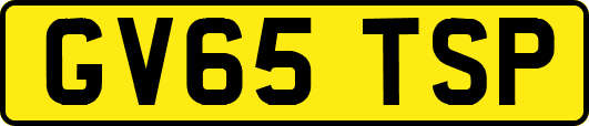 GV65TSP