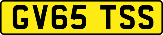 GV65TSS