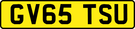 GV65TSU