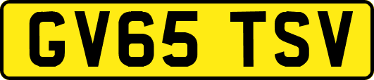 GV65TSV