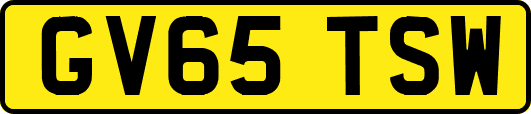 GV65TSW