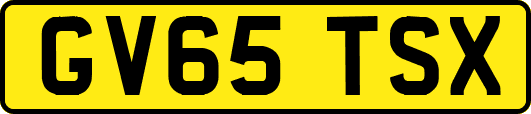 GV65TSX
