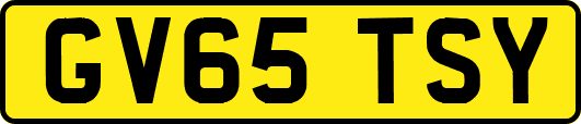 GV65TSY