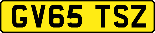 GV65TSZ