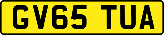 GV65TUA