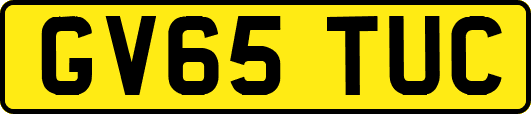 GV65TUC