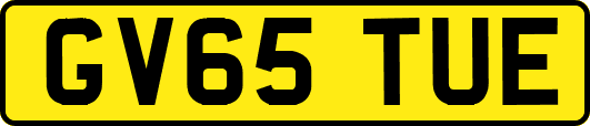 GV65TUE