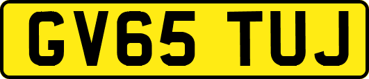 GV65TUJ