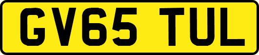 GV65TUL