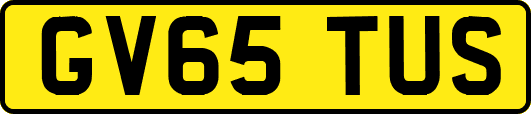 GV65TUS