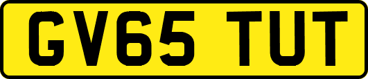 GV65TUT