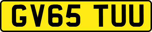 GV65TUU