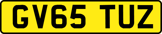 GV65TUZ
