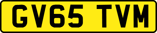 GV65TVM