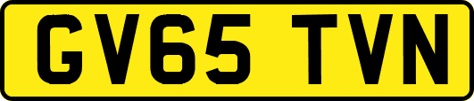 GV65TVN