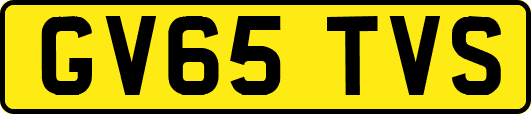 GV65TVS