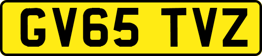 GV65TVZ