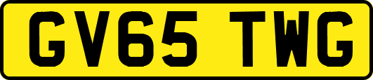 GV65TWG