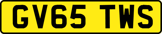 GV65TWS