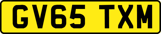 GV65TXM