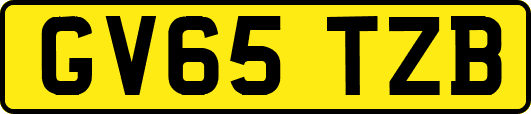 GV65TZB