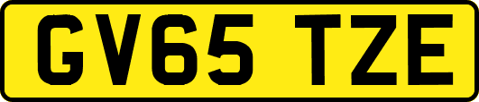 GV65TZE