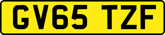GV65TZF