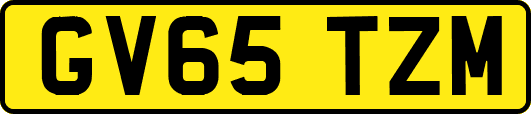 GV65TZM