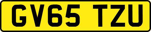 GV65TZU