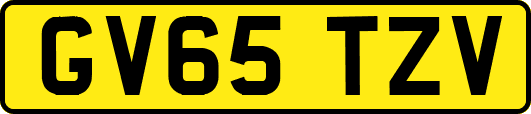 GV65TZV