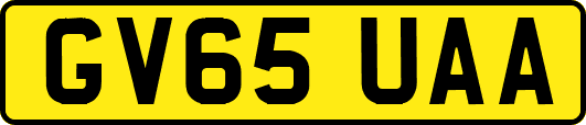 GV65UAA