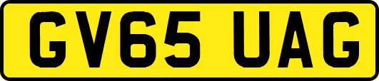 GV65UAG