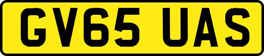 GV65UAS