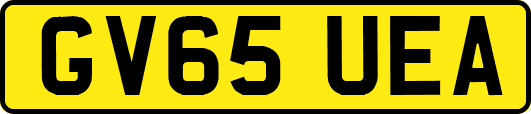 GV65UEA