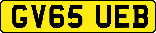 GV65UEB