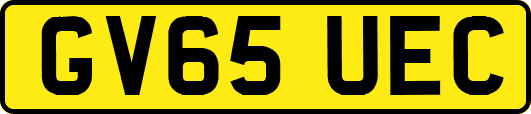 GV65UEC