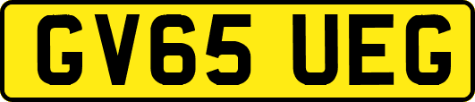 GV65UEG