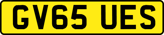 GV65UES
