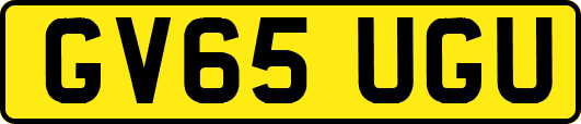 GV65UGU