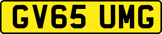 GV65UMG