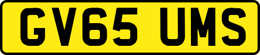 GV65UMS
