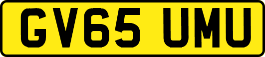 GV65UMU