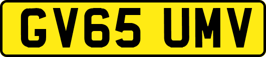 GV65UMV