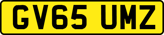 GV65UMZ