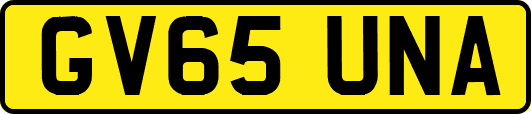 GV65UNA