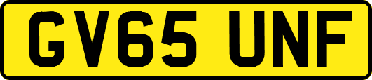 GV65UNF