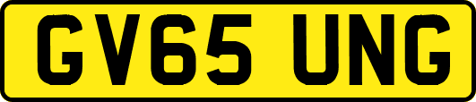 GV65UNG