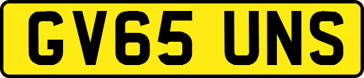 GV65UNS