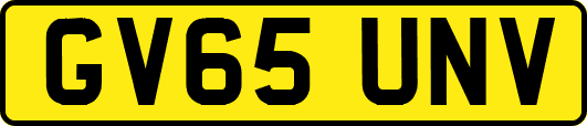 GV65UNV