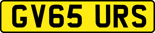GV65URS
